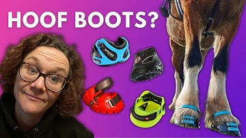 HOOF BOOTS - are they just a gimmick? (or changing the equine world?)