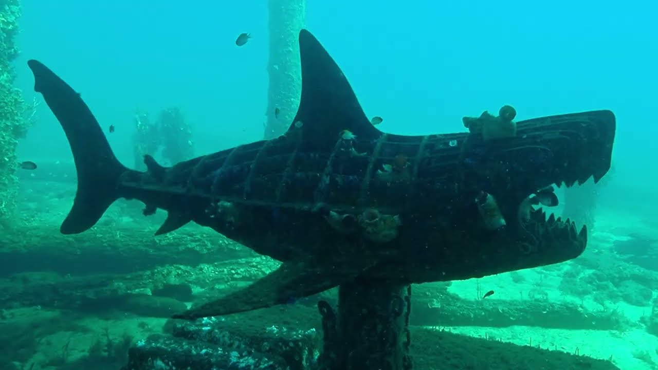 Underwater Sculptures, Busselton Jetty April 2024 YouTube