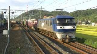 EF210 901号機 8058レ 貨物列車 平成25年9月25日撮影