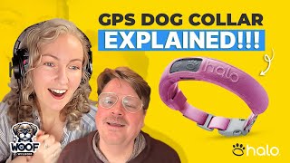 HALO 3 GPS DOG COLLAR FREQUENTLY ASKED QUESTIONS: ANSWERED | WOOF WISDOM EP 2