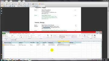 Pdf into Excel Data Entry