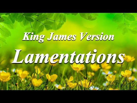 25 - Lamentations - The Holy Bible - King James Version - YouTube