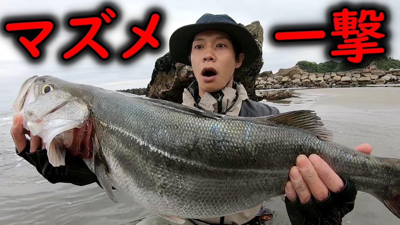 ルアー釣りにて朝マズメサーフで○○○のポイント狙ったらデカシーバスＧＥＴ！