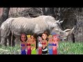 Disney's Melody Let's Go To The Zoo Part 1