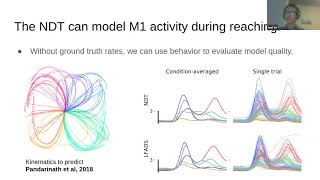 Celebrity Talk: Representation learning for neural population activity with Neural Data Transformers Net Worth