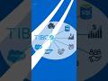 BECAME MASTER - TIBCO BusinessWorks Studio - Transitions
