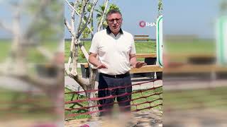 Sahilde Çekirdek Keyfi 8 Bin 687 Tl’ye Patladı Hatayi̇nternettv.com