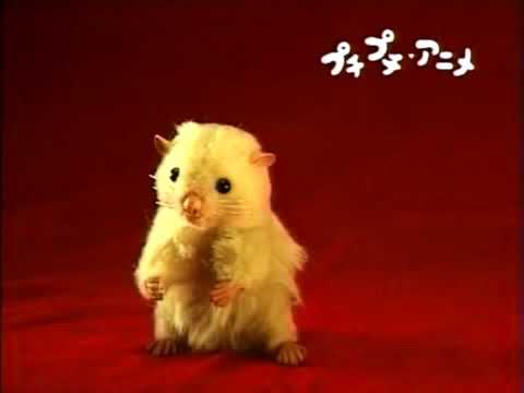 ハムスターサム 02 Nhk教育 プチプチ アニメ Youtube