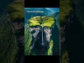 The world doesn't feel real 😌. #shorts #nature #waterfall #waterfallsounds
