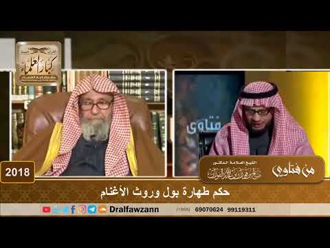 2018 حكم طهارة بول وروث الأغنام الشيخ صالح الفوزان