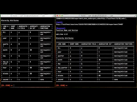 Data Analytics Terminal : tables auto-sizing