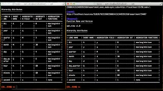 Details Data Analytics Terminal : tables auto-sizing News