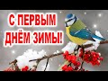 ОЧЕНЬ КРАСИВОЕ ПОЖЕЛАНИЕ С Первым Днём Зимы! 1 ДЕКАБРЯ Красивое Поздравление с Началом Зимы!