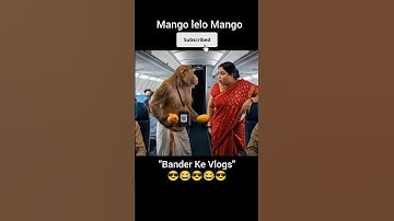 Monkey vlog 🤣 #shorts #monkeyvlog #funny #monkey