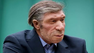 cruce hombre mono (chimpance)