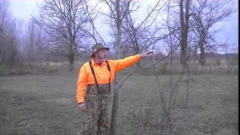 Best Set Coyote Trapping Best Coyote Traps Actual Catch. Catch Illegal Coyote? Where U Can