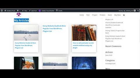 DP Related Articles of Any Custom Post Type Posts