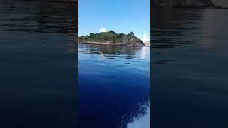 CINTAKU JAUH DI PULAU