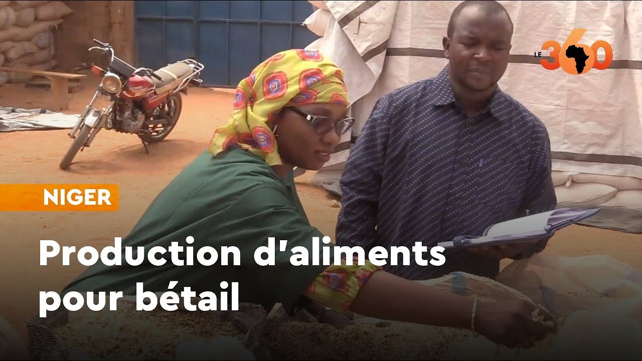 Niger Nafissa la femme qui a rvolutionn la production daliments pour btail