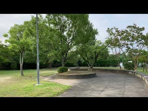 富田林　金剛団地　公園の草木　Morning scenery of my town