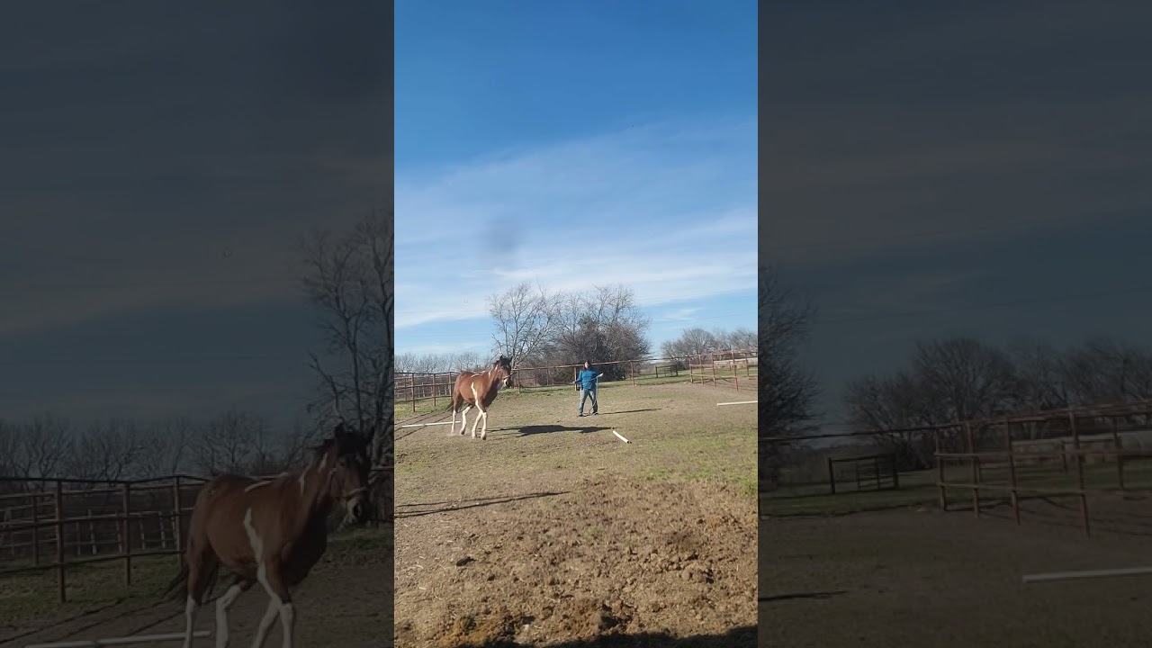CAN SHE CLEAR THEM ALL? | Lightning’s  Pole Challenge!