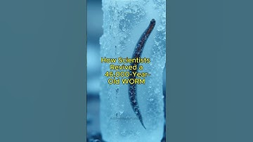 How Scientists Revived a 46,000-Year-Old Worm: A Breakthrough in Ancient Life and Evolution