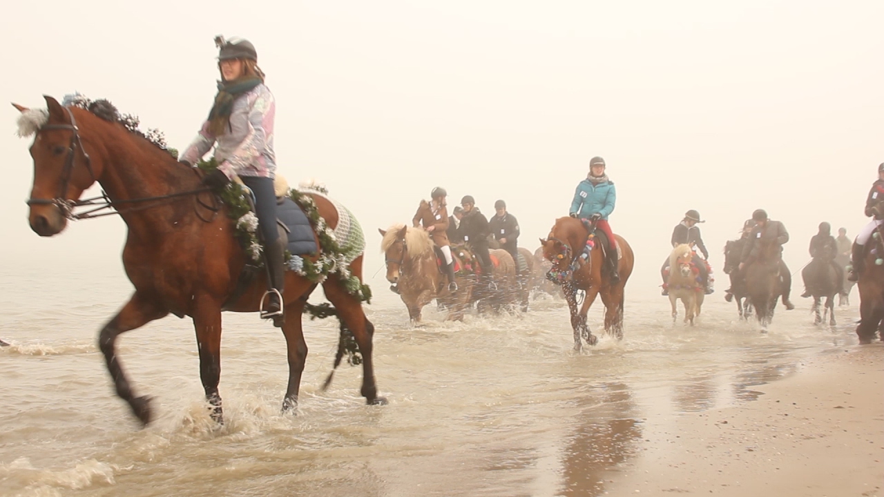 Straô rijden op Schouwen (met boerin Bertie) - #ZeeuwsenZO