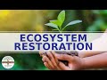 Ecosystem Restoration Quiz