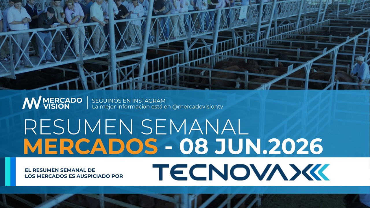 📊💰 Resumen Semanal de los Mercados | 01 al 06 de JUNIO 2026