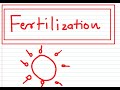 FERTILIZATION made easy