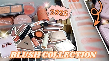 Ultimate 2025 BLUSH COLLECTION | SWATCHES & Tiny Declutter!