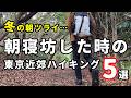 【登山初心者】遅い時間からでもOK!朝寝坊した時おすすめの東京近場ハイキング5選