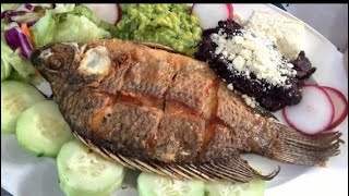 Mojarras Tilapia 🐟Fritas SECRETO Para que No Se Peguen😋😋 by BEE COCINA Mx 602 views 1 year ago 6 minutes, 2 seconds