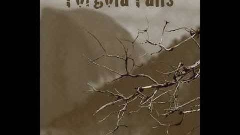 Forgola Falls - Euphoria (official audio)