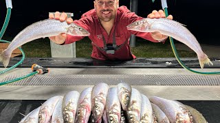 Whiting Fishing in Westernport Bay! ep 18