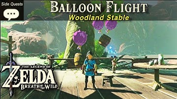 Balloon Flight Side Quest | Zelda, BOTW Side Quest Tutorial