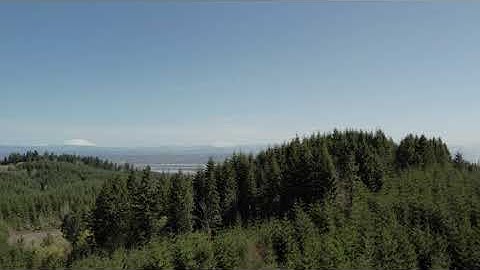 LOGGING SURVEY |  AERIAL DRONE FOOTAGE