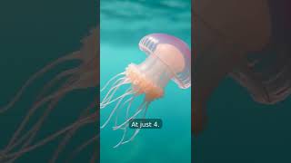🤯 This Tiny Creature Cheats Death Forever! Immortality Revealed!