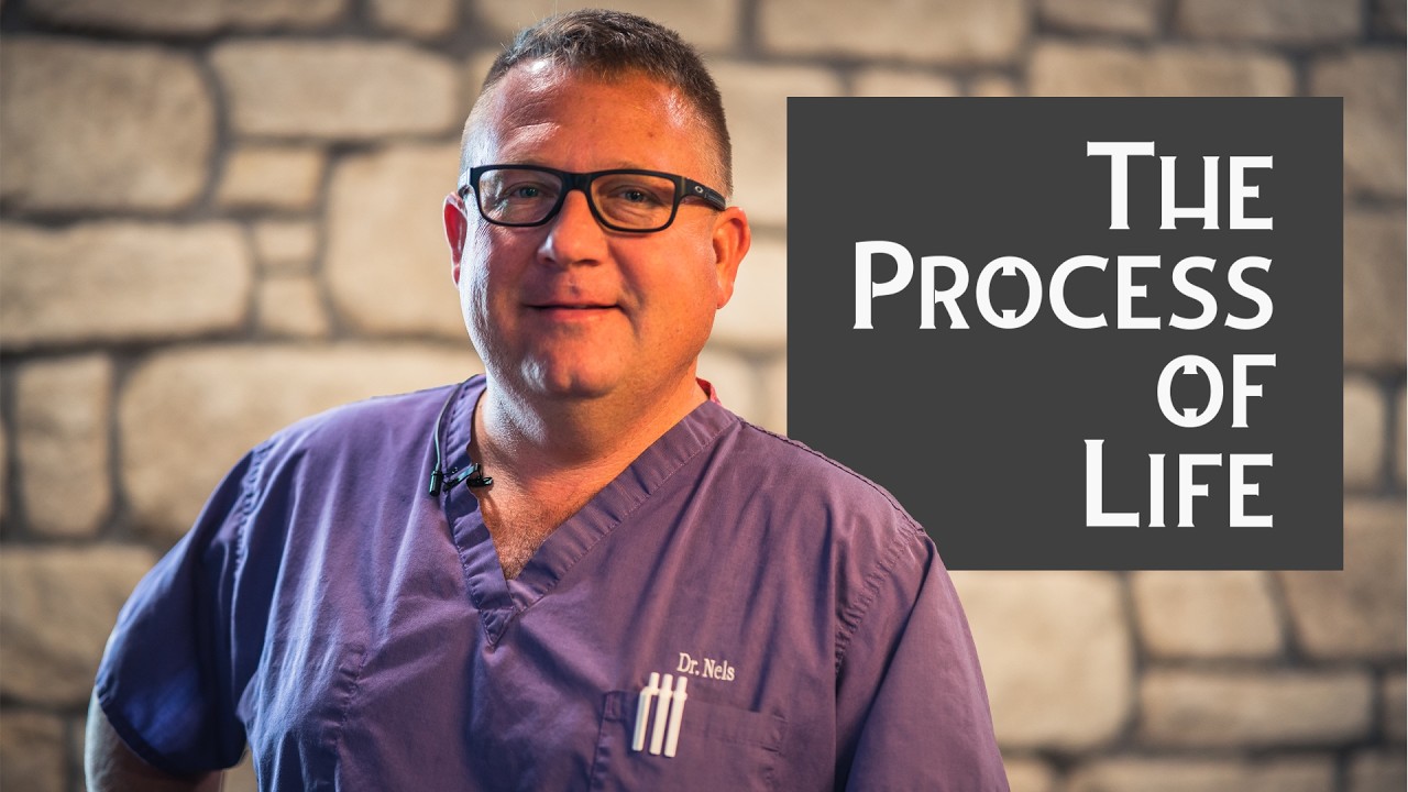 The Process of Life