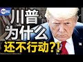 川普何时下戒严令? 左媒造假无底线, 他们不敢提的幕后黑手是谁? 川普迟迟按兵不动, 原因竟在苏格拉底的寓言里! 真观点 | 真飞 【20201222】【第56期】