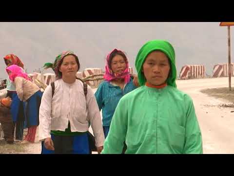 Video: Yam Khoom Tuaj Yeem Dhau Los Ua Hom