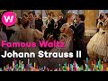 Johann Strauss II - An der schönen, blauen Donau (Wiener Akademie) | From &quot;A Night in Vienna&quot;