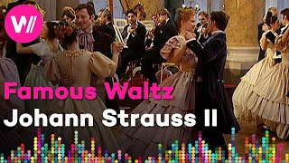 Johann Strauss II - An der schönen, blauen Donau (Wiener Akademie) | From &quot;A Night in Vienna&quot;