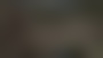 Rust Plugin Showcase Trade