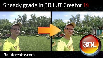 Speedy grade in 3D LUT Creator, Part 14 (LUT for video)
