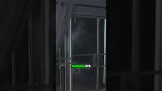 What’s Lurking Outside That Window?