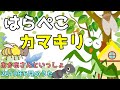 はらぺこカマキリ / おかあさんといっしょ 2019年6月のうた カバー