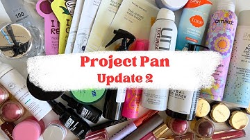 Project Pan Update 2 - Declutters, Empties, & Goals