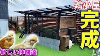 自作 ニワトリ小屋５０００円 mqdefault.jpg