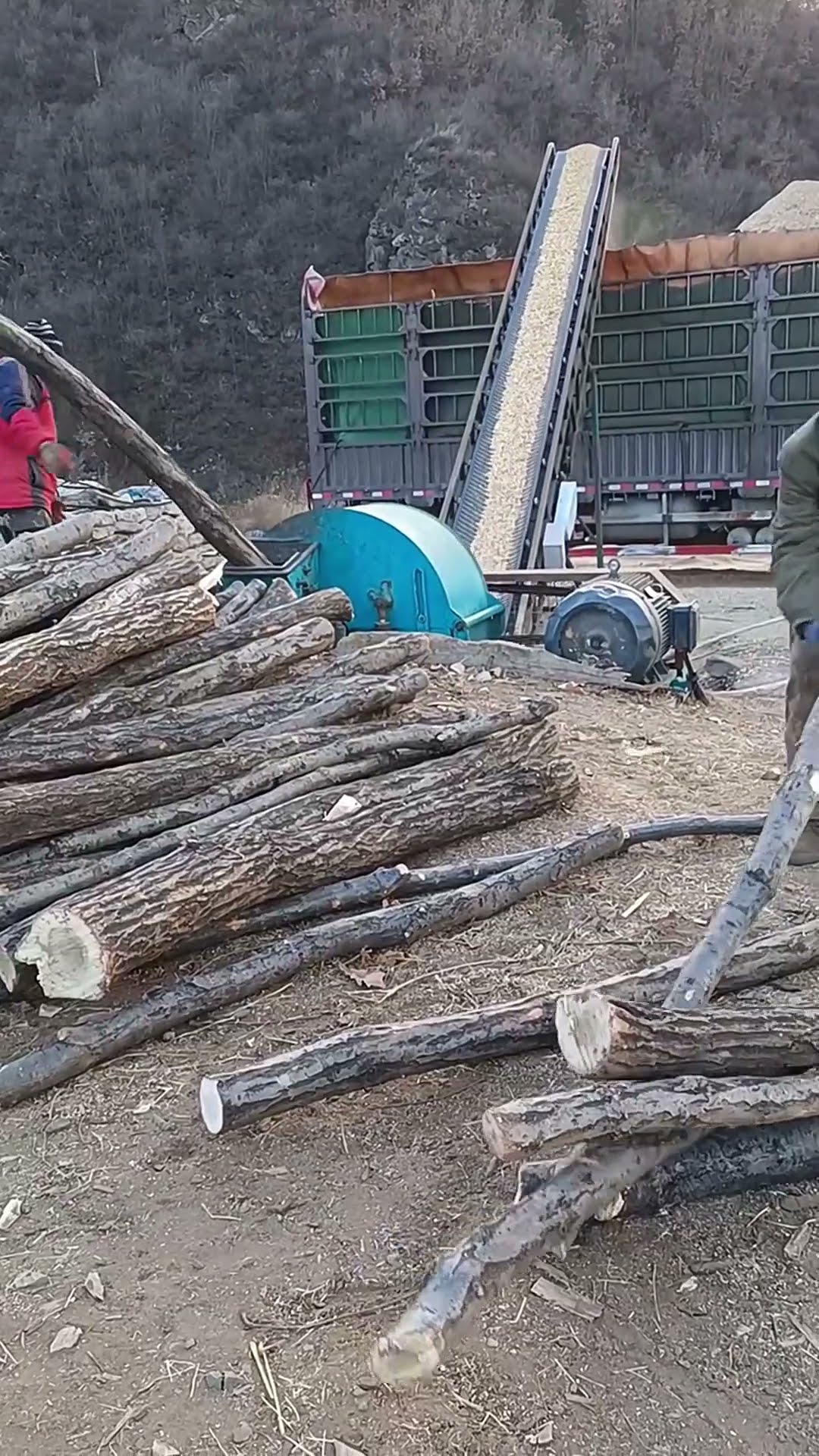 Tree crushing process- Good tools and machinery make work easy